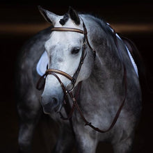 Load image into Gallery viewer, Equipe Emporio Clincher Removable Flash Bridle