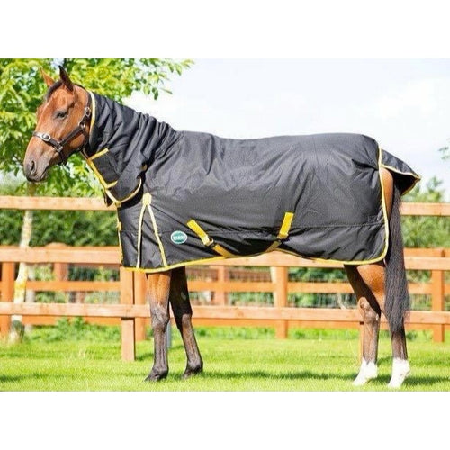 Cameo Guardian 250g Combo Turnout Rug