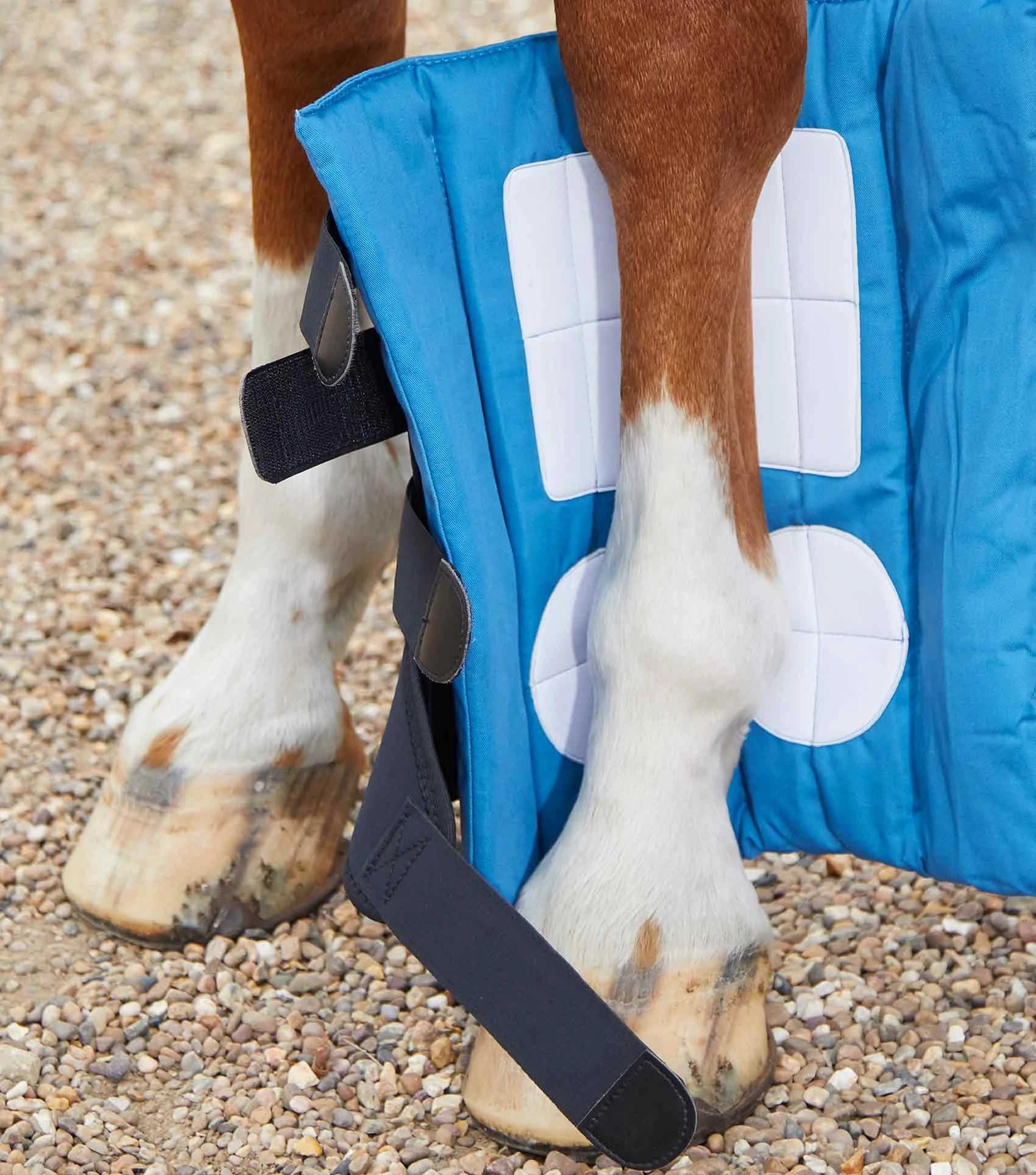 Premier equine hot sale magnetic fetlock boots