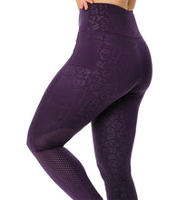 Load image into Gallery viewer, Horseware Monogram Silicone Knee Riding Tights