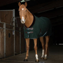 Load image into Gallery viewer, Teddy Fleece Cooler