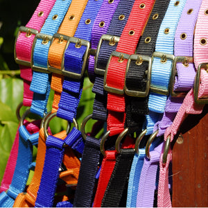Nylon Foal Headcollar