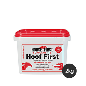 Horse First Hoof First