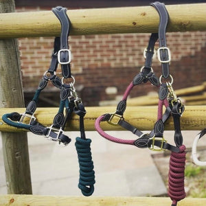 Cameo Anatomic Leather & Rope Headcollar