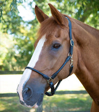 Load image into Gallery viewer, Premier Equine Hennaroso Rolled Anatomic Leather Headcollar