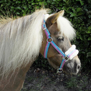 Rhinegold Bright Striped Fur Trim Small Pony Headcollar