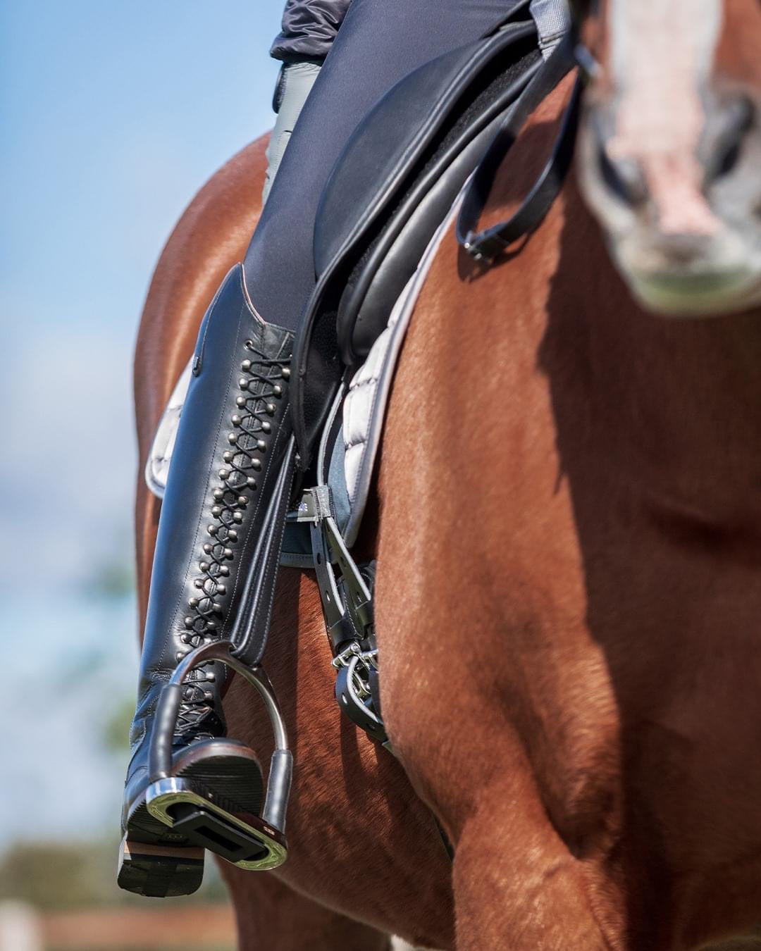 Premier Equine Maurizia Long Leather Riding Boots