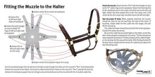Load image into Gallery viewer, ThinLine Flexible Filly Grazing Muzzle
