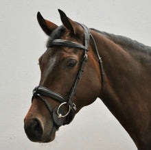 Load image into Gallery viewer, EcoRider Ecolux Comfort Bridle