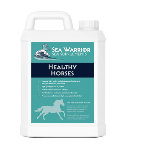 Sea Warrior Healthy Horses