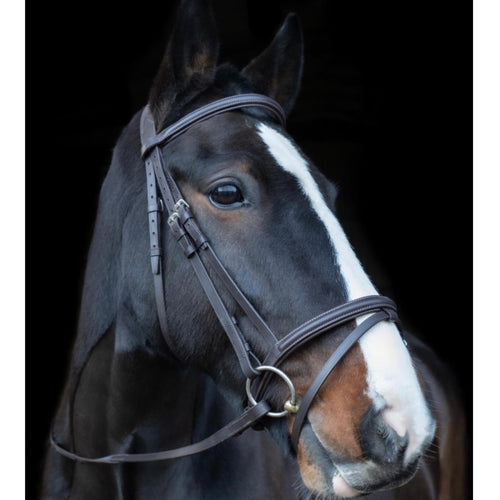 Cameo Core Collection Anatomic Bridle with Sure Grip Reins