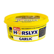 Load image into Gallery viewer, Horslyx Mini