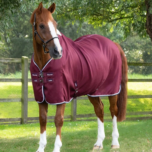 Premier Equine Buster Waffle Cooler