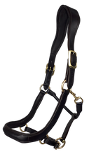 Load image into Gallery viewer, EcoRider Freedom Leather Headcollar