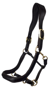 EcoRider Freedom Leather Headcollar
