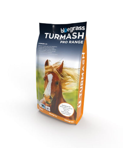 Bluegrass Turmash