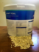Load image into Gallery viewer, Bluegrass XL-ENT Foal Milk Pellets