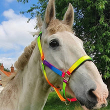 Load image into Gallery viewer, KM Elite Rainbow Headcollar &amp; Rope Set