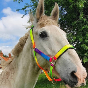 KM Elite Rainbow Headcollar & Rope Set