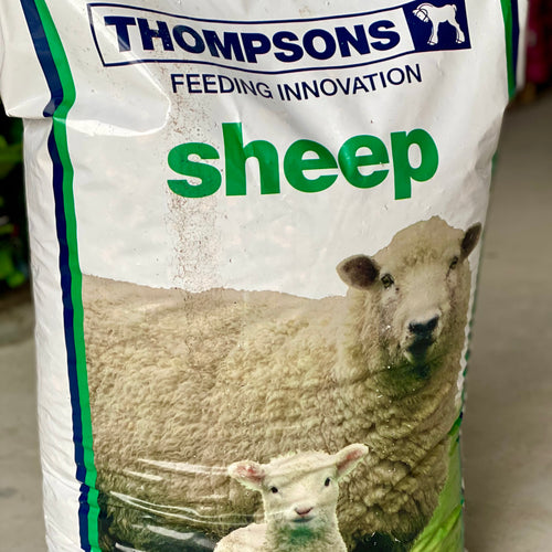 Thompsons Champion Lamb Mix