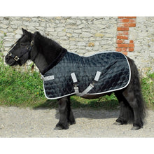 Load image into Gallery viewer, Teddy Quilted Stable Rug 300g - Black/Black