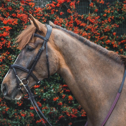 Mackey Legend Athena Bridle with Reins