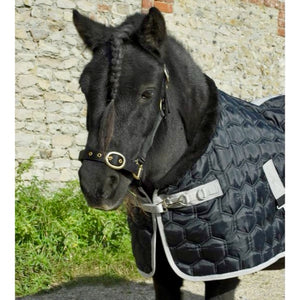 Teddy Quilted Stable Rug 300g - Black/Black
