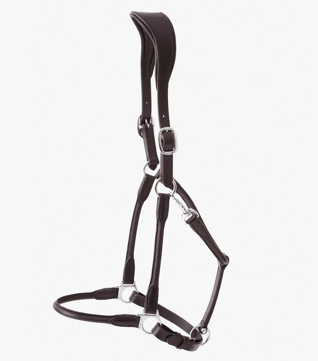 Premier Equine Hennaroso Rolled Anatomic Leather Headcollar