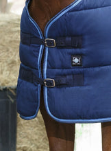 Load image into Gallery viewer, Riding World 300g Stable Rug