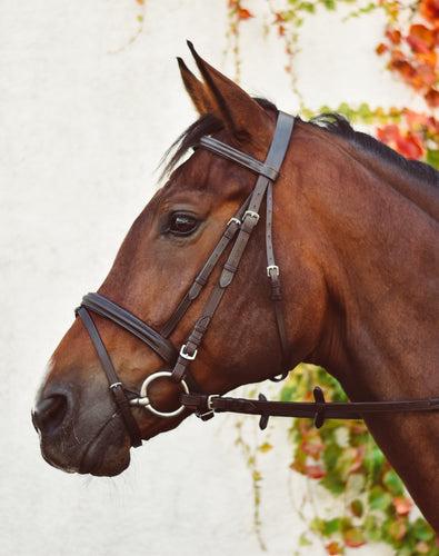 Mackey Equisential Flash Bridle with Reins