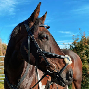 Cameo Core Collection Grackle Bridle with Reins