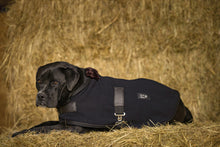 Load image into Gallery viewer, Teddy Dog Fleece