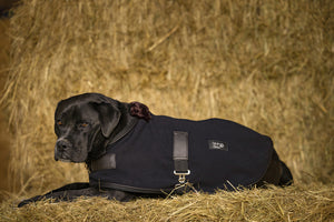 Teddy Dog Fleece
