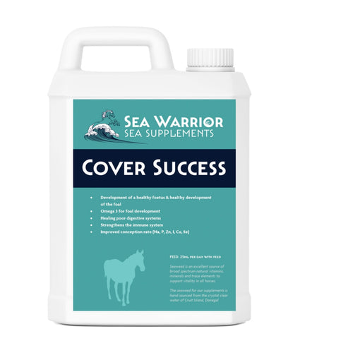 Sea Warrior Cover Success