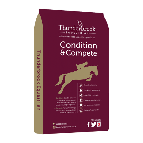 Thunderbrook Condition & Compete