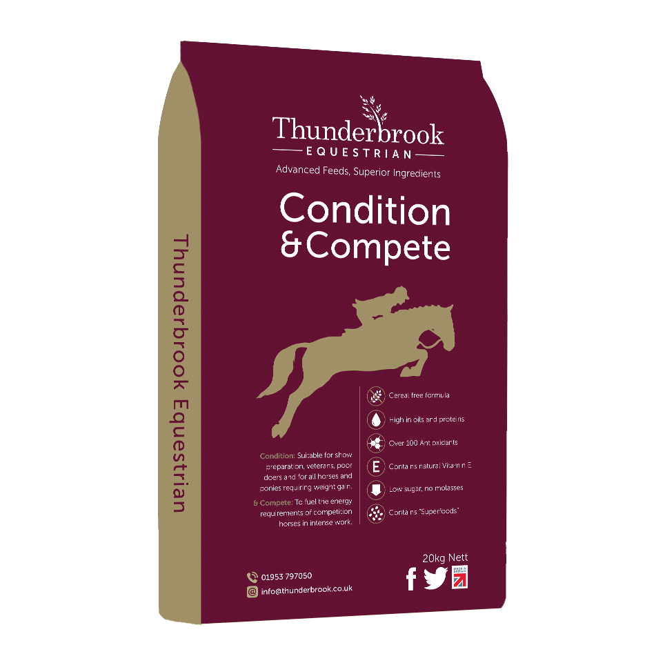 Thunderbrook Condition & Compete