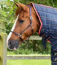 Load image into Gallery viewer, Premier Equine Domus 400g Combo Stable Rug