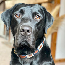 Load image into Gallery viewer, KM Elite Argentinian Dog Collar