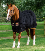 Load image into Gallery viewer, Premier Equine Buster Fleece Cooler