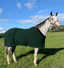 Load image into Gallery viewer, Teddy Fleece Cooler