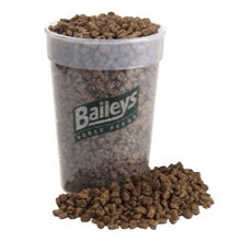 Load image into Gallery viewer, Baileys Outshine