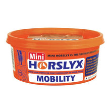 Load image into Gallery viewer, Horslyx Mini