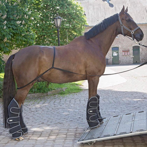 Waldhausen Loading Aid