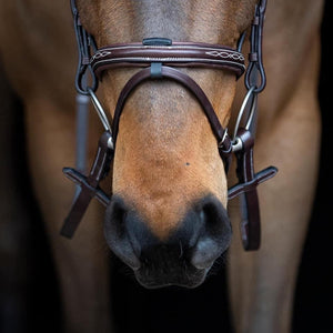 Equiline Anatomic Jumping Flash Bridle