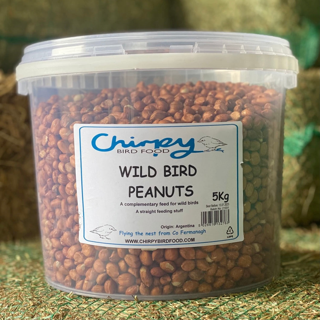 Wild Bird Peanuts