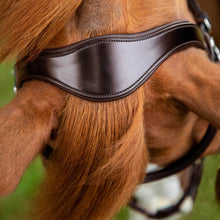 Load image into Gallery viewer, Premier Equine Glorioso Grackle Bridle