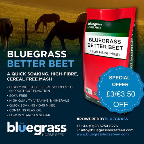 Bluegrass Better Beet Mash