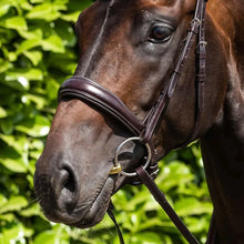Load image into Gallery viewer, Loose Ring Brass Alloy Snaffle with Lozenge Bit