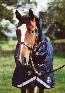 Mackey Wicklow Turnout Rug
