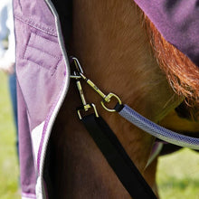 Load image into Gallery viewer, Premier Equine Buster 70g Turnout Rug with Classic Neck Cover